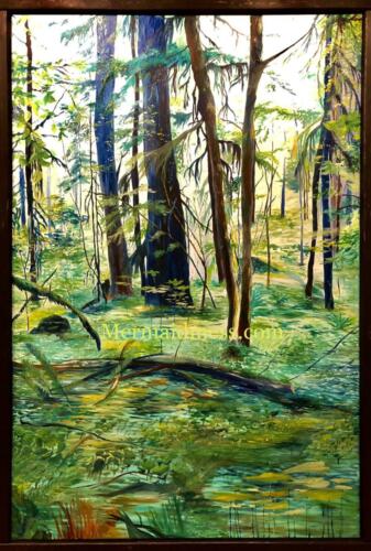 Lower Falls Forest