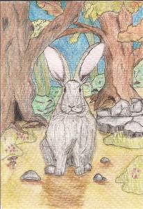 Follow the White Rabbit-SOLD