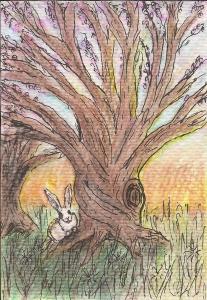 Follow the White Rabbit 2