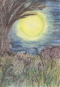 Night of Opportunity-SOLD